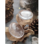 Galets cristal de roche polis posés sur rondins de bois en décor nature, pierres roulées translucides associées à l’harmonisation, à la lumière intérieure et à la sérénité.