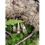 Boucles d’oreilles dorées 4 anneaux ovales reliés avec étoiles strassées, posées en décor nature sur mousse verte au pied d’une écorce, avec feuille et petite branche au premier plan.