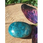 Galet d’apatite bleue polie ovale posé sur tranche de bois avec feuillage, pierre naturelle associée à la clarté d’esprit, à l’expression sincère et à l’élan intérieur.