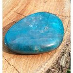 Galet d’apatite bleue poli posé sur décor nature, pierre naturelle évoquant la tranquillité, l’inspiration et la justesse intérieure.