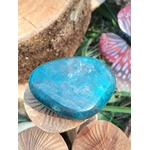 Galet d’apatite bleue poli sur champignons en bois et feuillage, pierre naturelle associée à la créativité, à la souplesse émotionnelle et à la parole apaisée.