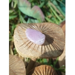 Pierre roulée de kunzite rose pâle posée sur décor de champignons en bois et feuillage vert, galet poli associé à la tendresse, au réconfort et à la douceur intérieure.