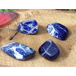 Quatre pierres roulées de sodalite bleu nuit marbrées de blanc sur tranche de bois avec touche végétale, pierres naturelles associées au recentrage, à la lucidité et à la parole apaisée.