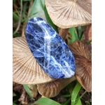 Pierre roulée de sodalite bleu profond marbrée de blanc dans un décor de champignons en bois et feuillage vert, galet naturel évoquant le recul, la tranquillité et l’harmonie intérieure.