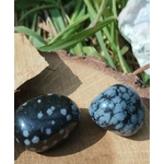 Obsidienne neige roulée, deux pierres polies noir profond à taches blanches sur tranche de bois en extérieur près d’herbe verte, pierres naturelles associées à l’ancrage, à la stabilité et au calme intérieur.