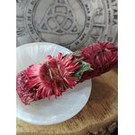 Bâton de fumigation sauge blanche “sang de dragon”, fleurs séchées rouges/roses, posé sur coupelle blanche et rondin de bois, fond ésotérique; pour purifier l’ambiance et poser une intention de protection