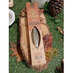 Encens HERBIO Cannelle 25 g en étui kraft avec fenêtre, posé sur rondin de bois sur herbe avec feuilles et pomme de pin; parfum épicé, ambiance cosy et réconfortante.