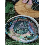 Coquille d’ormeau (abalone) aux reflets nacrés bleu-vert/violet, posée sur herbe avec rondin de bois et feuillage en décor; support idéal pour fumigation (sauge/encens), elle évoque purification douce, protection et apaisement de l’ambiance.