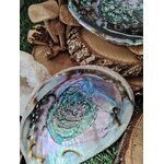 Coquille d’ormeau nacrée bleu-vert/violet, posée sur bois et herbe avec déco naturelle; support pour encens/fumigation, évoque purification, protection et apaisement.