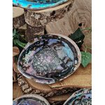 Coquille d’ormeau nacrée bleu-vert/violet sur rondins de bois et feuillage; support encens/fumigation, évoque purification et apaisement.
