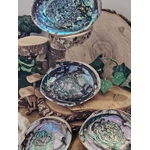 Coquille d’ormeau nacrée bleu-vert/violet sur rondins de bois, déco feuillage; support encens/fumigation, évoque purification, protection, apaisement.