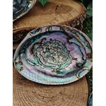 Coquille d’ormeau nacrée bleu-vert/violet sur rondin de bois, déco feuillage; support fumigation/encens, évoque purification, protection et apaisement.