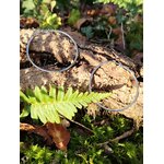 Grandes créoles argentées en acier inoxydable, anneaux fins et légers, photographiées en Bretagne sur un décor de forêt (mousse, feuilles et bois); évoquent connexion à la nature, légèreté et élégance au quotidien