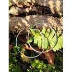 Grandes créoles argentées en acier inoxydable, anneaux fins et légers, photographiées en Bretagne sur un décor de forêt (mousse, feuilles et bois); évoquent légèreté et élégance naturelle.