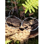 Grandes créoles argentées en acier inoxydable, anneaux fins et légers, photographiées en Bretagne sur un décor de forêt (bois, mousse et feuilles); évoquent légèreté, élégance et connexion à la nature.