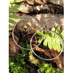 Grandes créoles argentées en acier inoxydable, anneaux fins et légers, photographiées en Bretagne sur un décor de forêt (mousse, feuilles et bois); évoquent élégance simple et légèreté