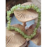 Bracelet péridot baroque en cercle sur décor champignons en bois avec fond bleu, éclats verts lumineux pour fraîcheur mentale et élan positif