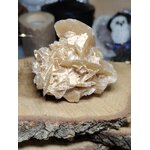 Rose des sables beige (gypse) posée sur une tranche de bois brut, décor bougie et fond sombre flouté; symbolique : ancrage, protection, clarté.