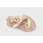 Rose des sables beige (gypse) grande sur fond blanc, double formation en rosettes cristallines, relief en lamelles et ombre douce; symbolique : centrage, clarté, protection.