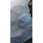 Pierre roulée howlite blanche marbrée de gris posée dans une géode claire, cristaux blancs et gris en lumière tamisée, pierre naturelle associée à l’intuition douce, au calme intérieur et à la clarté mentale.
