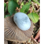Pierre roulée howlite blanche veinée de gris sur champignon en bois, décor végétal en arrière-plan, pierre naturelle associée à l’apaisement, à la clarté d’esprit et à la sérénité intérieure.