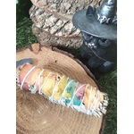 Bâton de sauge 7 chakras à brûler (fumigation/smudge), décoré de pétales multicolores, ficelé, posé sur rondin de bois avec pomme de pin, chaudron noir et feuillage. Pour purification énergétique, protection, clarté et apaisement.