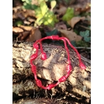 Bracelet rouge 7 nœuds sur bois brut et feuillage, cordon d’intention pour courage, centrage et stabilité