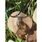 Pendentif citrine sur cordon noir, posé en décor naturel avec champignons et feuillage, pierre naturelle associée à l’élan positif, à la vitalité et à la chaleur intérieure.