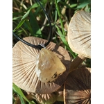 Pendentif citrine brute sur cordon noir, photo en décor naturel avec champignons et herbes, pierre naturelle évoquant l’optimisme, l’enthousiasme et la lumière intérieure.