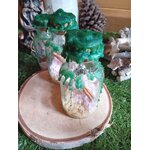 Spell jar d’abondance Magic Gaïa, 3 fioles en verre scellées cire verte, riz et bâton de cannelle, mise en scène sur tranche de bois