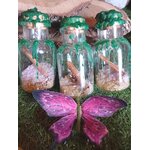 Spell jar abondance, fioles en verre avec cire verte, bâton de cannelle, décor mousse, énergie prospérité, Magic Gaïa