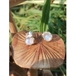 Boucles d’oreilles en argent 925 avec péristérite nacrée, posées sur un champignon en bois sculpté, fond de feuillage vert flouté, pour douceur, intuition et apaisement
