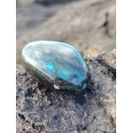 Galet de labradorite aux reflets bleu lagon posé sur rocher humide en Bretagne, pierre naturelle évoquant le recentrage, la fluidité intérieure et l’équilibre émotionnel.