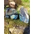 Deux labradorites forme libre aux reflets bleus posées sur mousse et rocher en Bretagne, près d’un ruisseau, pierres naturelles associées à la protection douce, au calme intérieur et à la profondeur intuitive.