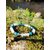 Bracelet TDAH création Magic Gaïa en apatite et sélénite sur rocher moussu en Bretagne, perles bleues et blanches pour canaliser l’agitation et retrouver un axe plus stable