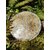 Plateau orgonite sélénite Fleur de Vie en décor naturel, disque de rechargement blanc aux inclusions minérales et symbole doré, purification douce et harmonie intérieure.