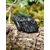 Tourmaline noire brute posée sur un tronc moussu en forêt en Bretagne, pierre naturelle noire associée à l’ancrage, à la protection et à la stabilité intérieure.