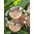Bracelet 3e œil en labradorite, fluorite et merlinite sur champignons et décor nature, intuition profonde, clairvoyance et sommeil inspiré