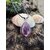 Pendentif lépidolite en argent 925 posé sur décor naturel avec coquillages, bijou en pierre naturelle associé à l’apaisement, à l’équilibre intérieur et à la douceur émotionnelle.
