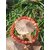 Bracelet cornaline 6 mm posé sur des champignons décoratifs, perles orange en pierre naturelle pour dynamisme, assurance et élan créatif