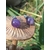 Boucles d’oreilles puces améthyste violette sur tranche de bois brut, soleil rasant et ombres marquées, arrière-plan végétal; associée à calme intérieur, équilibre émotionnel, intuition.