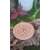 Plateau-en-bois-triskel-Magic-Gaia-zoom