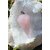 Pendule en quartz rose facetté personnalisable sur demande, chaîne argentée, posé sur amas de quartz blanc, décor naturel (mousse/herbes), radiesthésie/divination, douceur, apaisement, amour de soi, réconfort, harmonie émotionnelle