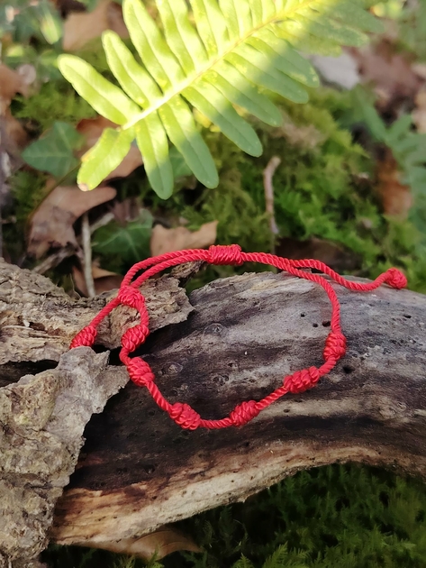 Bracelet rouge 7 nœuds de protection en cordon réglable sur écorce avec mousse et fougère, chance et intention positive