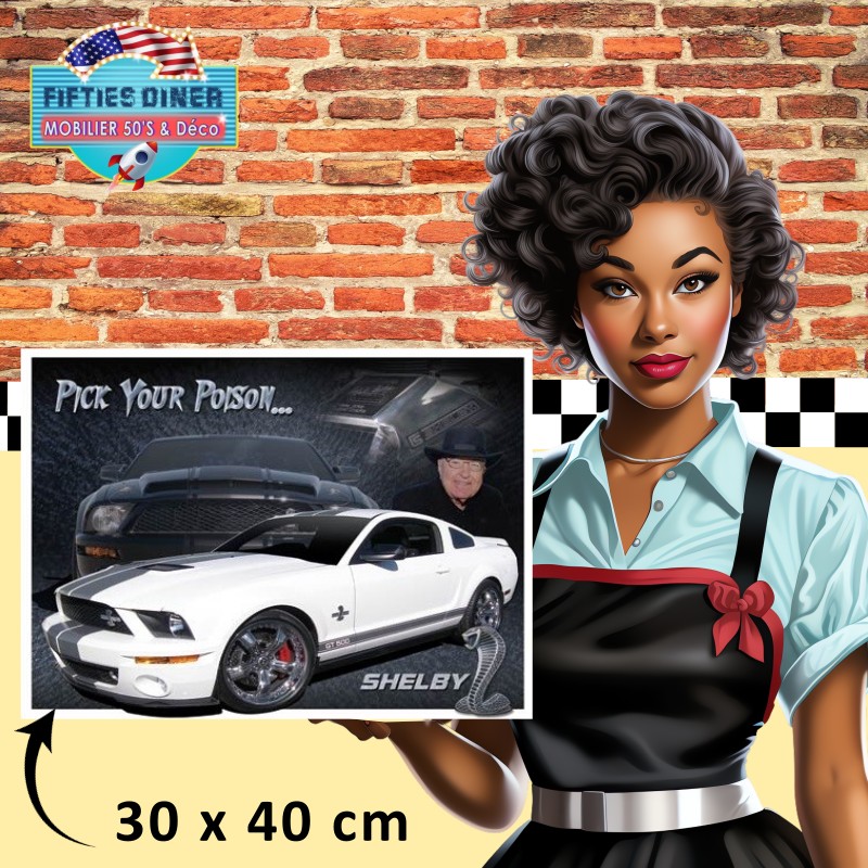plaque américaine vintage ford mustang shelby