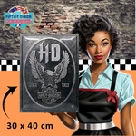 plaque vintage harley davidson since 1903 nostalgic art 40x30 cm