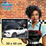 plaque américaine vintage ford mustang shelby