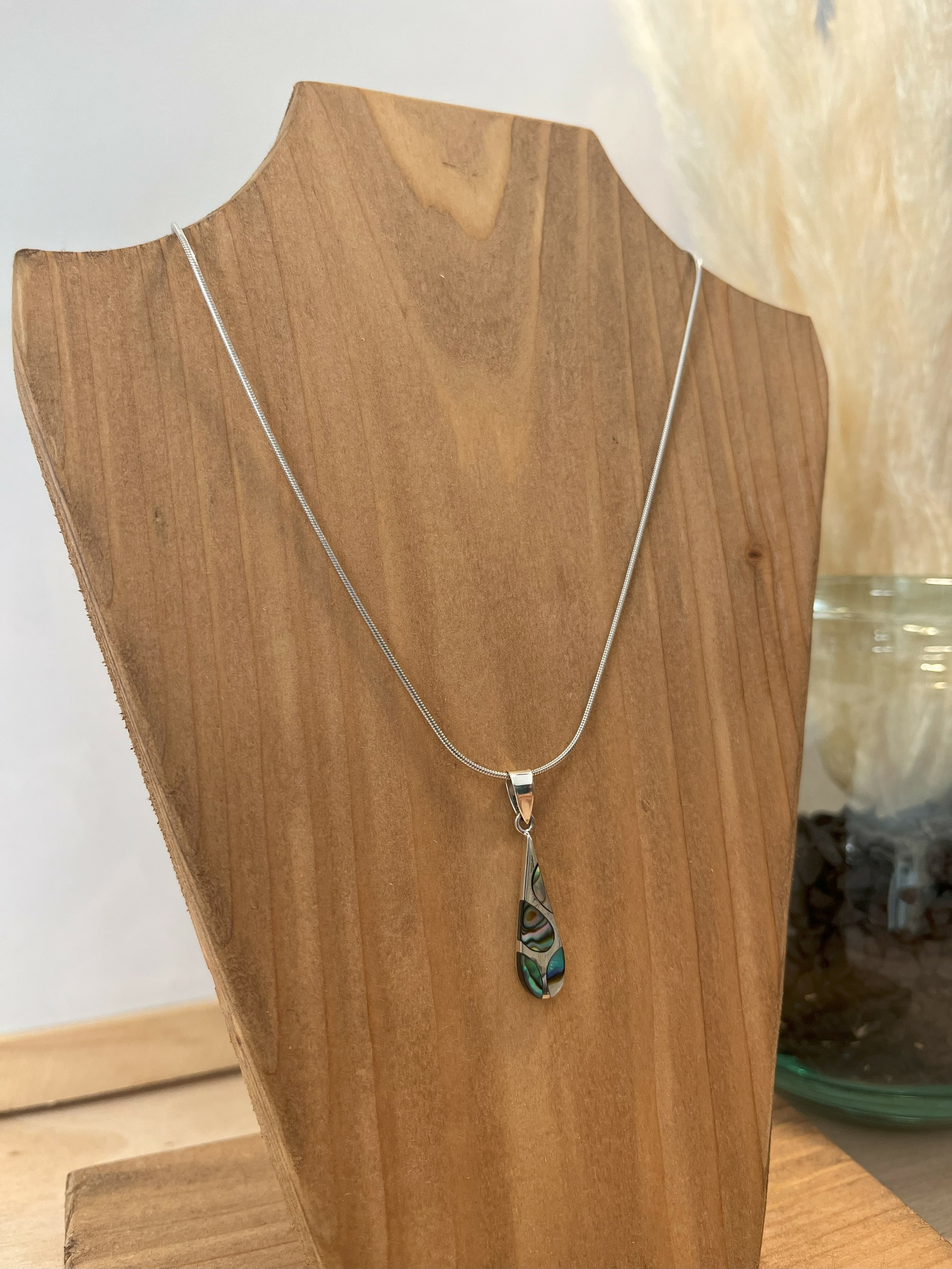 abalone3