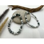 Agate Mousse Amerique Latine