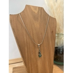 abalone3